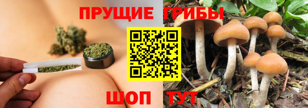Галлюциногенные грибы Psilocybe  Вход с VPN  наркошоп  Обь  Псилоцибиновые грибы Psilocybine cubensis 
